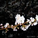 남해갯마을하우스 이미지