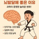 안현비룡태권도장 이미지