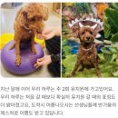 옐레드 부천상동점 이미지