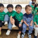 보람아트브레인어린이집 이미지