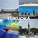 신사로 | 후쿠오카 여행 2일차 코스 추천 (마린월드 JR 할인티켓 + 구시다신사 + 캐널시티 + 이치란라멘 후기)