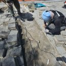 매곡고등학교 이미지