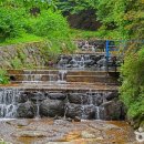 민주지산자연휴양림 이미지