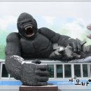 다원월드 이미지