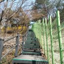 홍릉초교 이미지