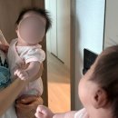 꼬꼬이 | 꼬꼬맘 장난감 내돈내산 후기｜터미타임 국민육아템 사용시기 아기 반응