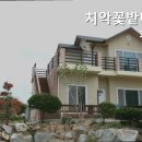 치악꽃밭머리펜션