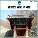 김순효자문 네이버블로그