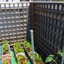 수정동농장 이미지