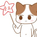 달루나캣츠 고양이전문 평택점 이미지