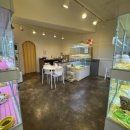 펫퍼스트 24시 강아지분양 고양이분양 파주운정점 이미지