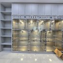 백동물의료센터 이미지