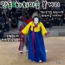목화물 주식회사 | 안동여행-안동하회마을 입장료,주차,탈춤공연시간,목화체험,왔니껴투어정보,단체여행