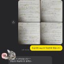 영어에 끌리다