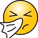 디스튜디오뷰티아카데미