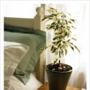 자연이숨쉬는집 이미지