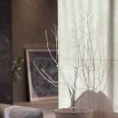 파스타부오노 | 주말, 퇴원, 맘모톰후기, 파스타부오노, 크리스피도넛