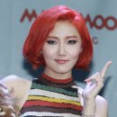 화사헤어 이미지