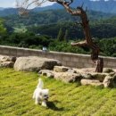 단산한옥펜션 이미지