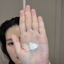 집케어 | [공지] 모이르 바르는 노워시 단백질 트리트먼트! 집에서 손상모 케어 후기