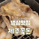 냉삼타운 | 동탄 삼겹살 맛집 제주꽃돈 가성비 메뉴 냉삼 먹고 온 후기