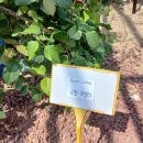 곡성-168 이미지