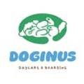 DOGINUS 네이버블로그