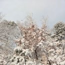 (주)티에스팜 이미지