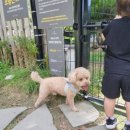 바닐라브릭 이미지