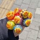 미스터샤크 수원 주짓수 킥복싱 멀티짐 이미지