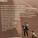 조선딴스홀 | [통영연극예술축제] TTAF 곰팡이들 연극 감상후기