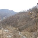 좌구산자연휴양림 이미지