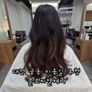 충남대로 | 대전 궁동 미용실 충남대 미용실 '쏠르씨엘헤어 유성점' 밀본 클리닉 후기