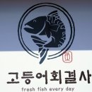 고등어회결사 이미지