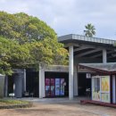 일출랜드식물원 | 제주 족욕체험 일출랜드 카페 쉬멍 방문 후기