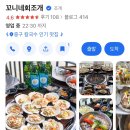 꼬니네회조개 이미지