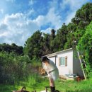 오리들2길 이미지