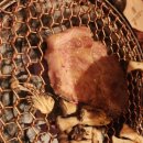 참숯맛고기집 이미지