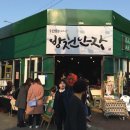 아동그룹심리미술A 이미지