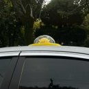 송림파크 | 성심당의 도시 대전, 성심당, 성심당 부티크, 근처 가볼 만한 곳 서천 장항송림 자연휴양림 후기