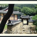 계림사 | 계림사 (개령)