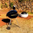 야자수 펜션 민박 이미지