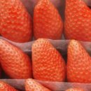 정병화 농장 이미지