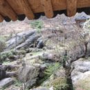 코끼리펜션 이미지