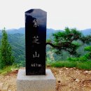 수협 앞 횡단보도 이미지