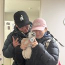 가곡면사무소 | 2024.12.31.-2025.1.1. 일출 보러 소백산 갔다가 파김치가 되어 돌아온 후기..=_=