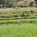 산마을고등학교 이미지