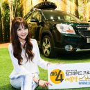 주식회사 새봄 이미지