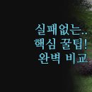 시티텔 | 실패 없는 숙소 고르는 법 | 호텔 3곳 솔직 후기 | 재즈 시티텔 선웨이 | 전망 가성비 완벽 비교 | 나...