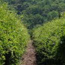 김삿갓면-16 이미지